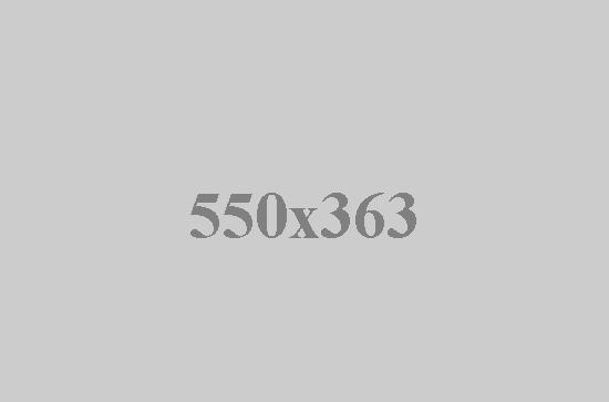 Integer tincidunt.